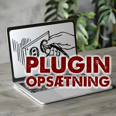 Flere funktioner på din hjemmeside via plugins