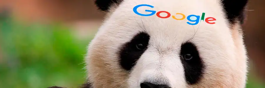 Hvad betyder Google Panda?